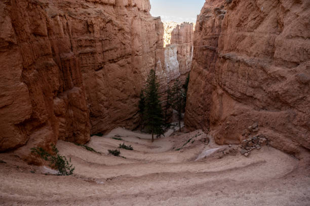 istock Looking Down Winding Trail of the Navajo Loop in Bryce 1852342570