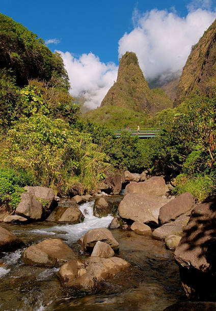 famoso de iao agulha, maui referência - maui iao valley state park hawaii islands mountain imagens e fotografias de stock