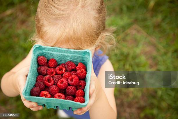 Photo libre de droit de Petite Fille Se Cacher Le Visage Derrière Le Carton De Framboises Elle Sélectionné banque d'images et plus d'images libres de droit de 2-3 ans