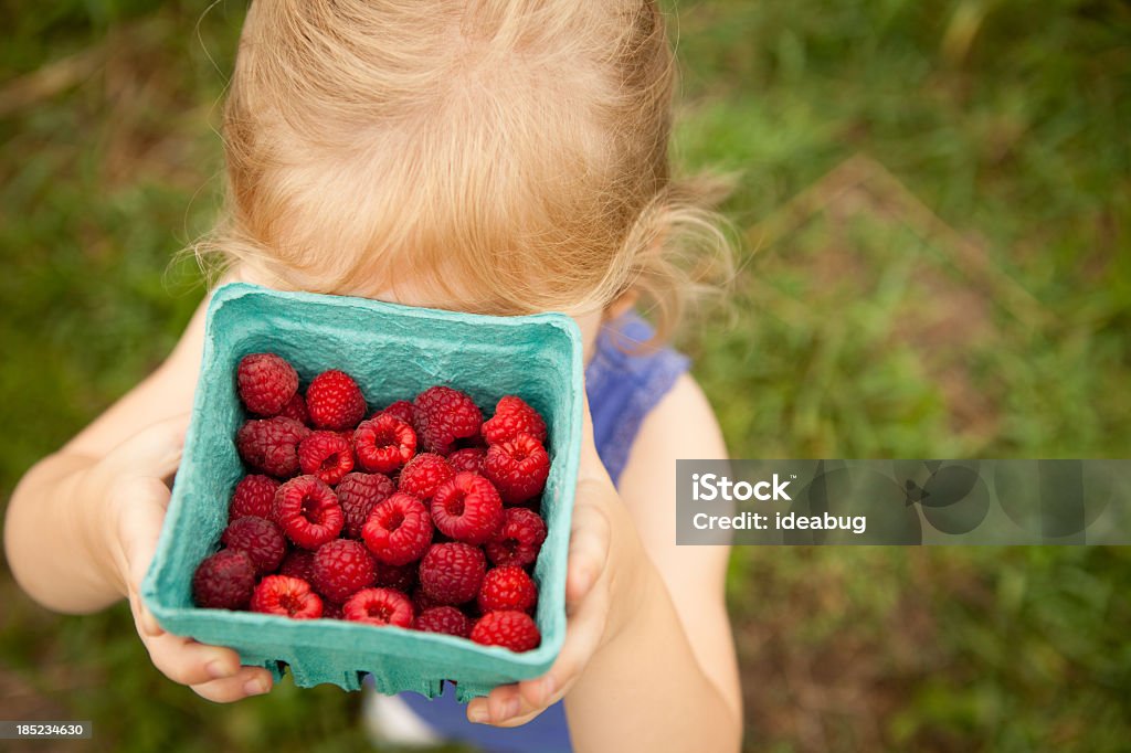 Маленькая девочка, скрывая лицо за Коробка из Raspberries она взяла - Стоковые фото 2-3 года роялти-фри