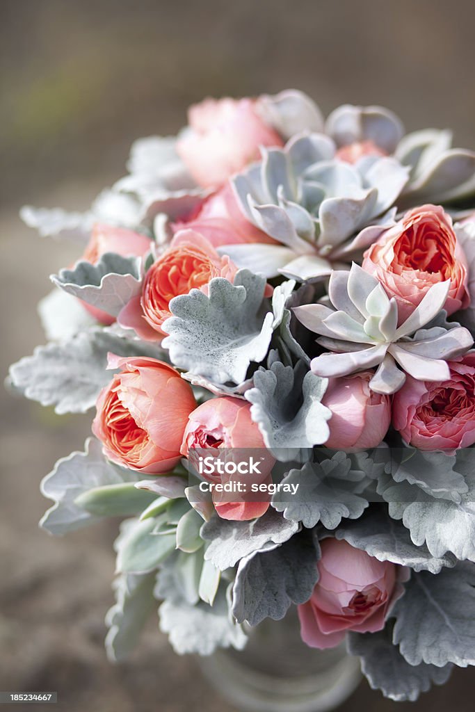 Rosa, Ranuncolo asiatico e verde succulenti bouquet da sposa - Foto stock royalty-free di Artemisia stelleriana