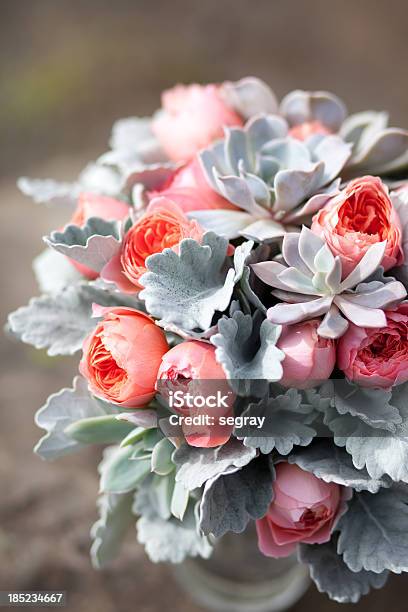 Rosa Ranuncolo Asiatico E Verde Succulenti Bouquet Da Sposa - Fotografie stock e altre immagini di Artemisia stelleriana