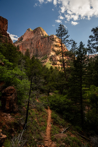 Narrow Trail Leads Away from Kolob Arch in Zion National Park