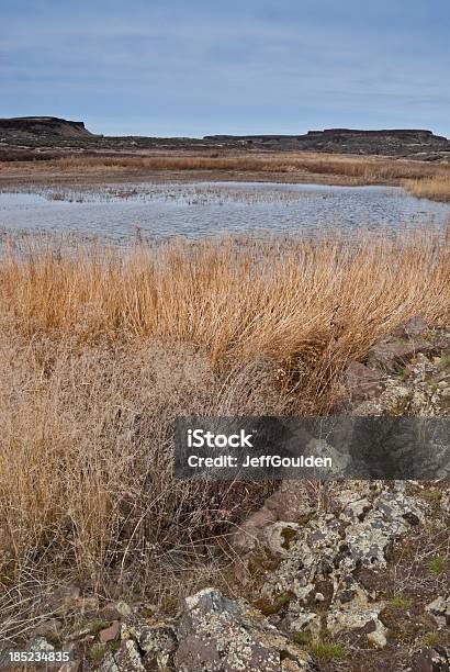 マーシュ Pothole に囲まれて古い Grasses ロック - アメリカ合衆国のストックフォトや画像を多数ご用意 - アメリカ合衆国, アメリカ太平洋岸北西部, カラー画像