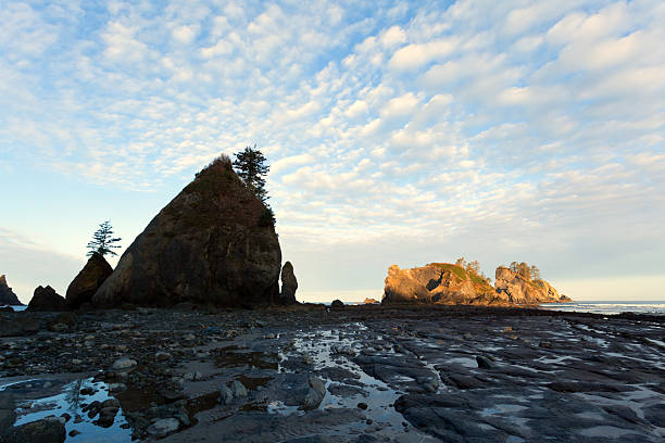 istock Point of the Arches Beach 185235037