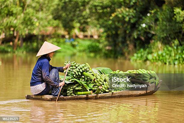 Donna Vietnamita Canottaggio Barca Al Fiume Mekong Delta Vietnam - Fotografie stock e altre immagini di Vietnam