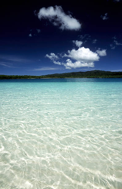 istock Indonesia, Banten Province, Peucang Island. 185235362