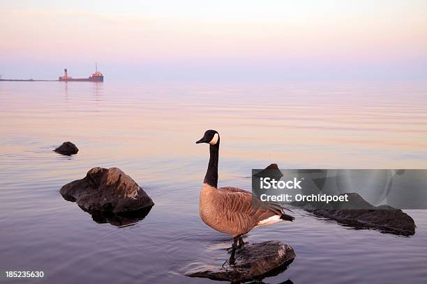 カナダガン - オンタリオ湖のストックフォトや画像を多数ご用意 - オンタリオ湖, ミシサガ, カナダ オンタリオ州