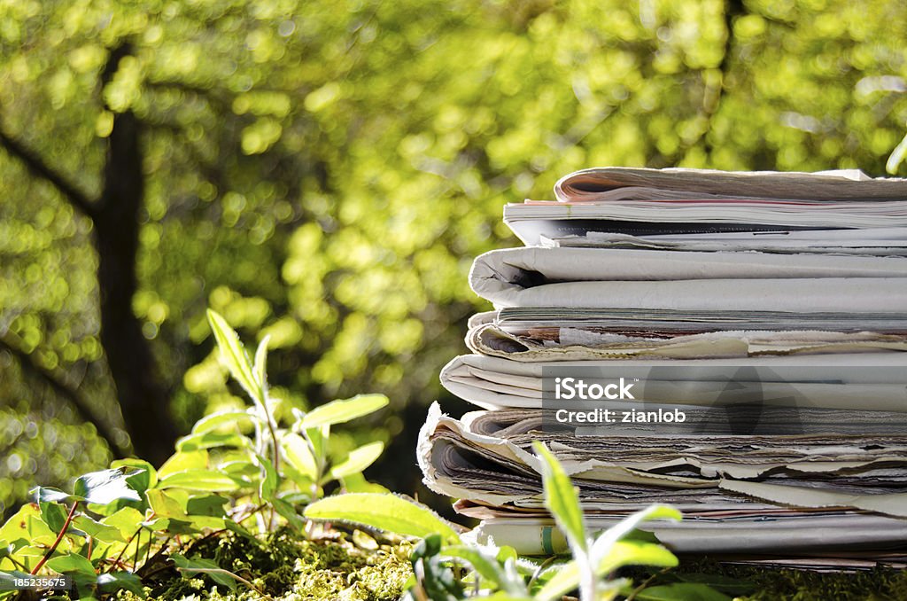 La pila de viejos periódicos en medio de la selva. - Foto de stock de Periódico libre de derechos