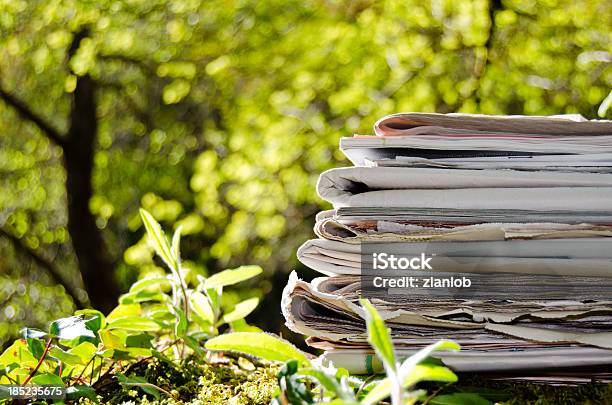 La Pila De Viejos Periódicos En Medio De La Selva Foto de stock y más banco de imágenes de Periódico - Periódico, Conservación del ambiente, Verde - Color