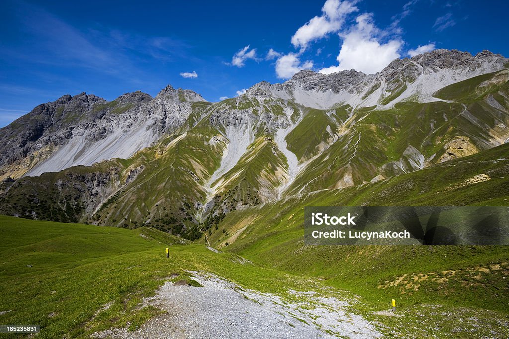 Estate in montagna - Foto stock royalty-free di Abete