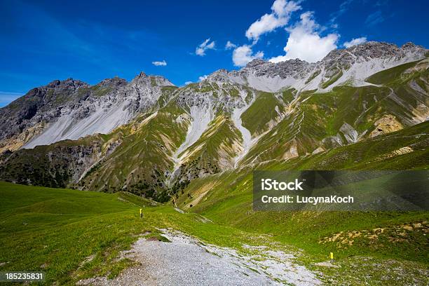 Estate In Montagna - Fotografie stock e altre immagini di Abete - Abete, Albero, Alpi