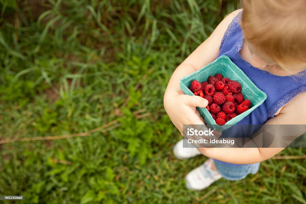 Menina segurando framboesas ela a dedo, com espaço para texto - Foto de stock de 2-3 Anos royalty-free