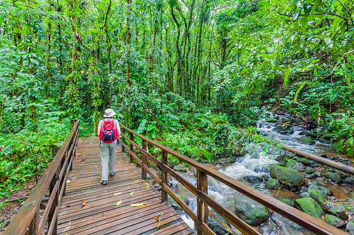 Hiker crossing the bridge over a stream along the Vermont Nature Trail in the tropical rainforest on mainland Saint Vincent. Saint Vincent & the Grenadines. Canon EOS 5D Mark II, blurred motion