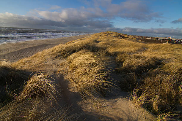 istock North Sea dunes in Denmark 185236094