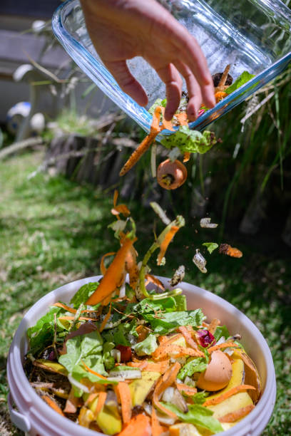 istock Leftover food waste poured into a recycle compost container outdoors 1852361665