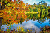 Muskoka River Fall Colors