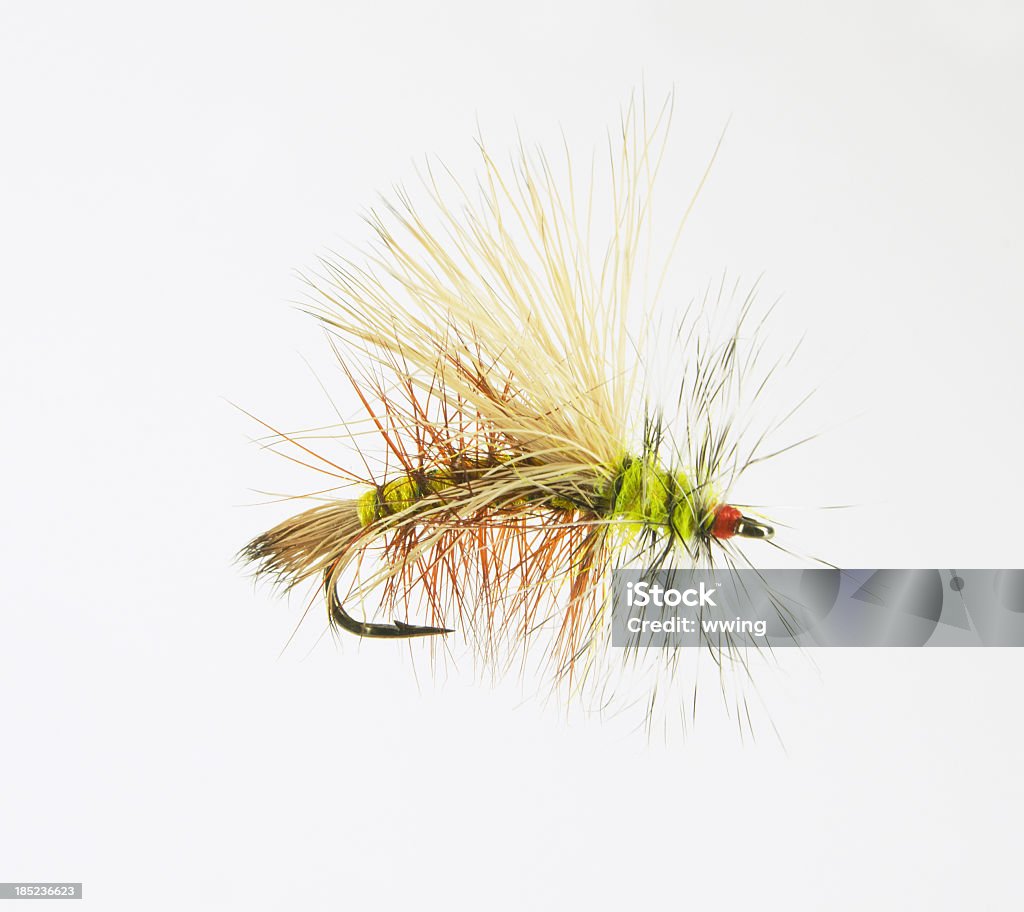 Grossissant mouche sèche - Photo de Pêche à la mouche libre de droits