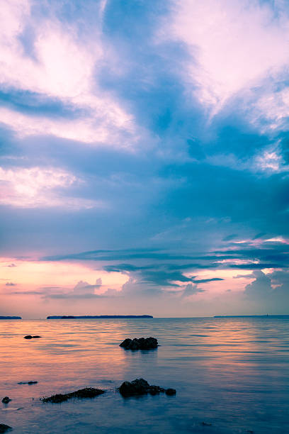 istock Twilight in Everglades National Park 185236644