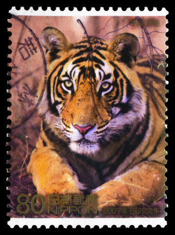 Japan postage stamp: Bengal tiger of India