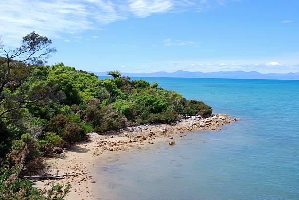 istock Looking down to Tinline Bay, Abel Tasman National Park, NZ 185237493