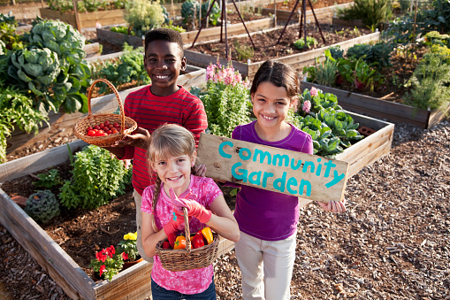 A group of three multi-ethnic children standing in front of planters of growing vegetables.  A girl in a purple shirt is holding up a wooden sign that has COMMUNITY GARDEN painted on it.  The African American boy and little blond girl are holding baskets of tomatoes and peppers.