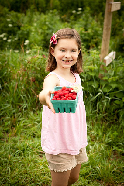 자랑스러운 7 주행연수 늙음 여자아이 표시중 라즈베리 쉬족 picked - pick your own farm little girls raspberry pole 뉴스 사진 이미지