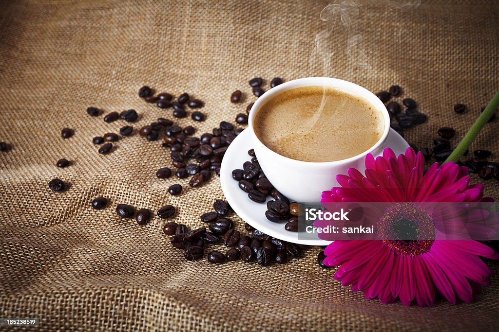 Tazza di cappuccino con chicchi di caffè freschi e fiori - Foto stock royalty-free di Caffè - Raccolto