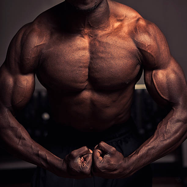 muscles du torse - military camp exercising weights strength photos et images de collection