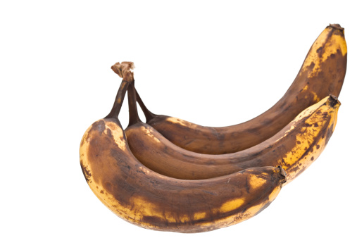 A close up of three overripe bananas beginning to rot.Isolated on white.