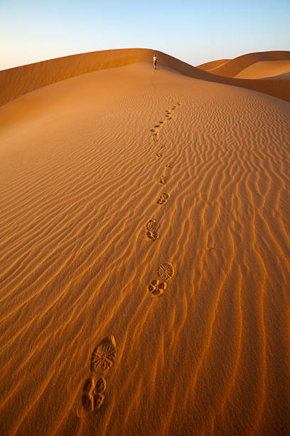 istock Walking in the sand dunes with foot prints 185238910