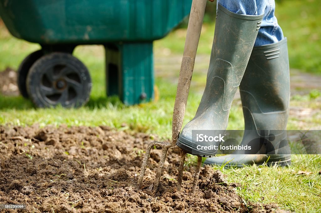Gardener Forking einem Aufnäher im Garten - Lizenzfrei Graben - Körperliche Aktivität Stock-Foto