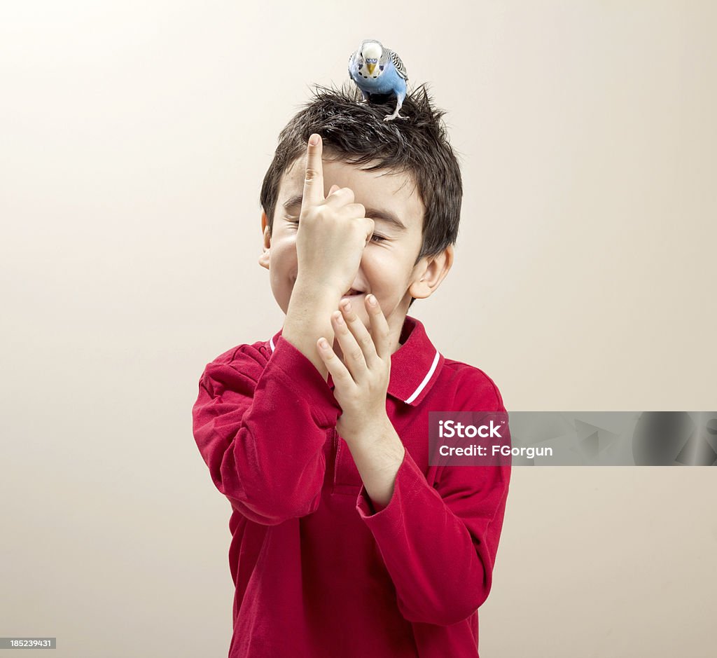 Süße budgies auf ein Kind's head. - Lizenzfrei Sittich Stock-Foto