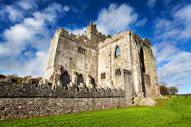 istock Tintern Abbey Ruins in Ireland 185239525