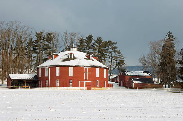 round fienile in bianco inverno neve, pennsylvania - corn snow field winter foto e immagini stock