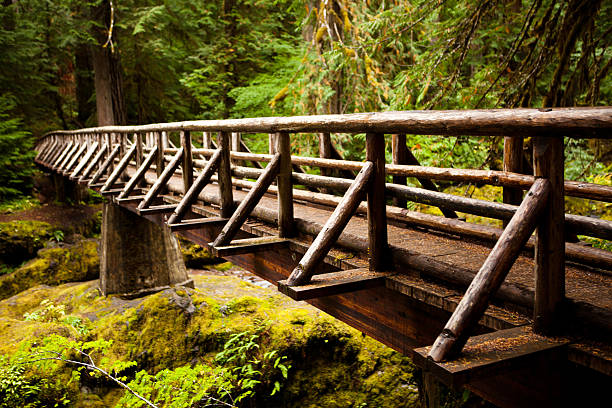 istock wooden bridge in the forest 185239814