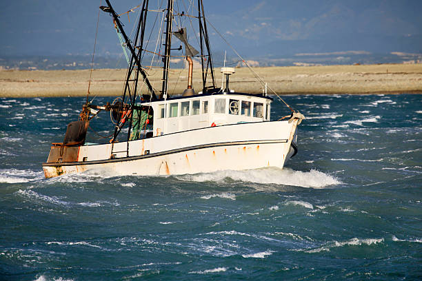 Small fishing trawler in rough seas, New Zealand stock photo