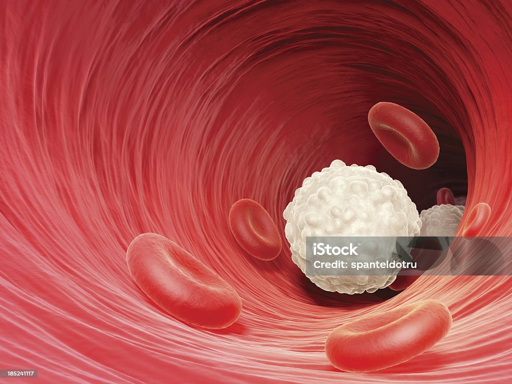 White blood cell - Lizenzfrei Leukozyten Stock-Foto