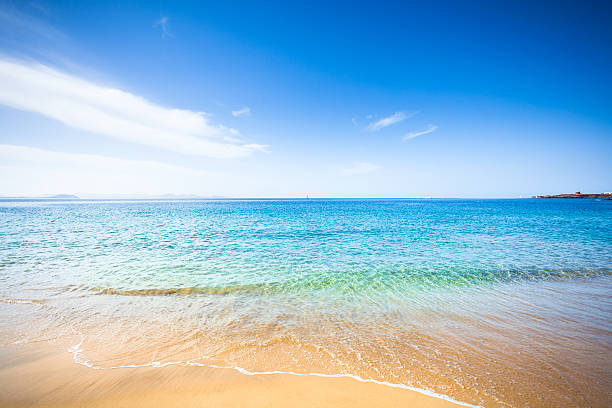 Paradise beach in canary islands