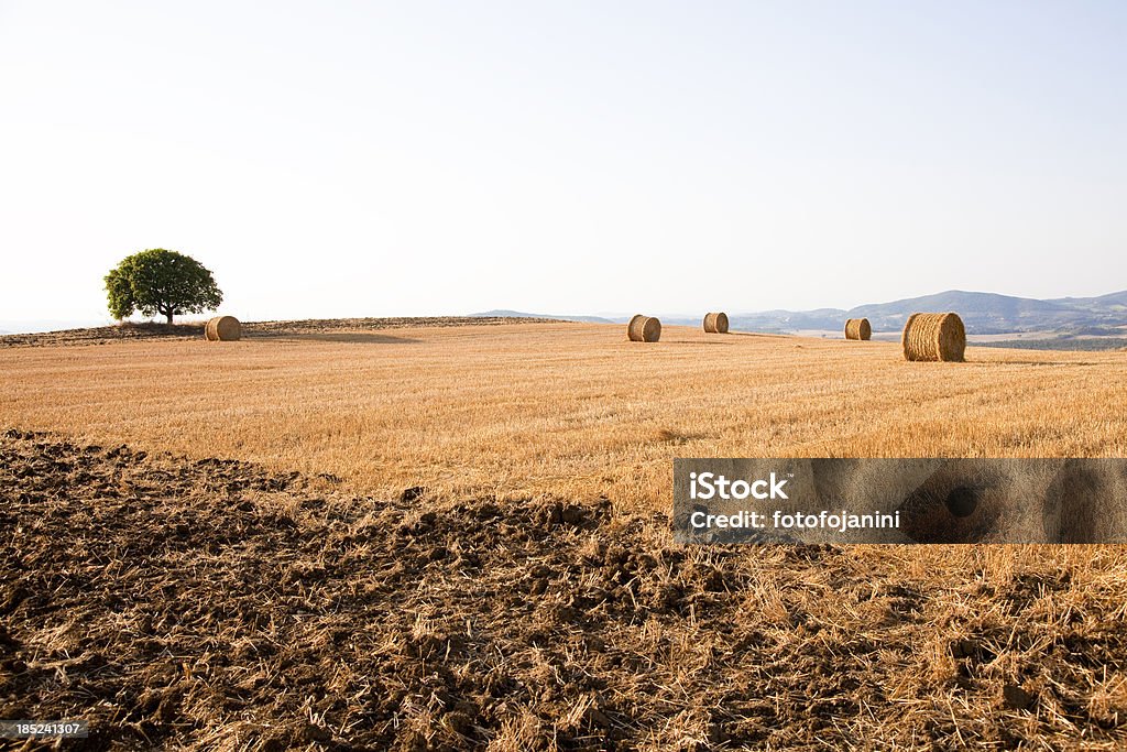 Paysage de Toscane - Photo de Agriculture libre de droits