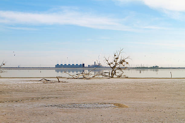 salton sea energii i fauny krajobraz - salton sea zdjęcia i obrazy z banku zdjęć