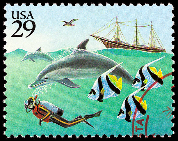 istock Wonders of The Sea 185241995