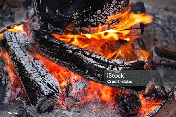 Burning Registros Foto de stock y más banco de imágenes de Hoyo para fuego - Hoyo para fuego, Tronco, Aire libre