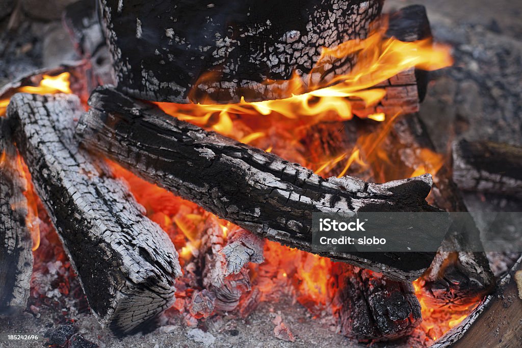 Bûches en bois à brûler - Photo de Bois coupé libre de droits