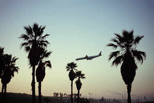 istock Los Angeles Airport 185242900