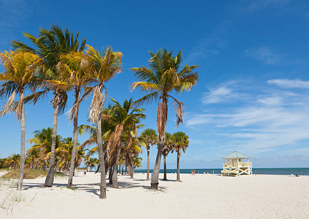 istock Tropical beach with palm trees 185243153