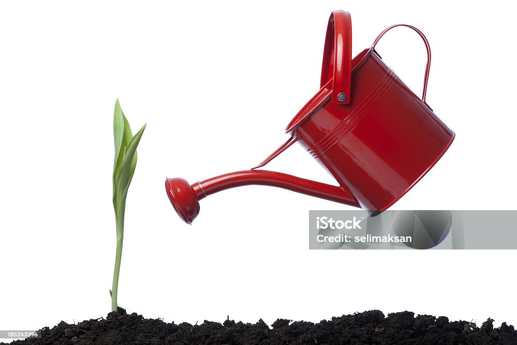 Vue latérale d'Arrosoir rouge s'appuyant sur la plante verte - Photo de Arrosoir libre de droits