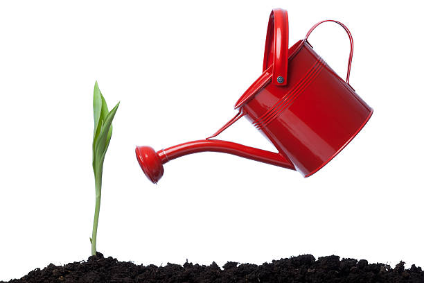 istock Side View Of red Watering Can Leaning On Green Plant 185243396