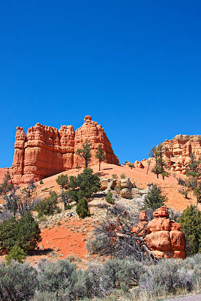istock Red Canyon. Utah. USA. 185243654