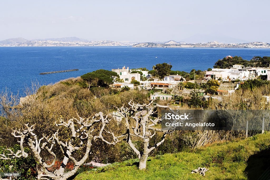 Widok Wyspa Procida od Ponte Harbur Ischia - Zbiór zdjęć royalty-free (Europa - Lokalizacja geograficzna)